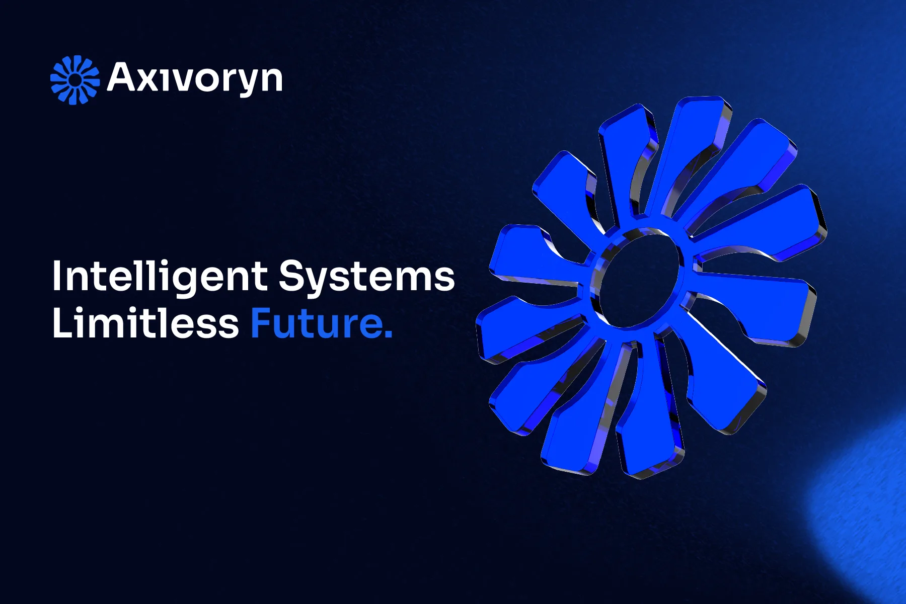 Axivoryn Brand Identity and Logo Design for a Software Company, slide 2
