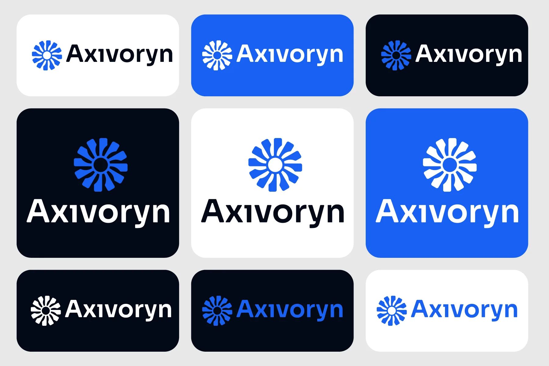 Axivoryn Brand Identity and Logo Design for a Software Company, slide 5