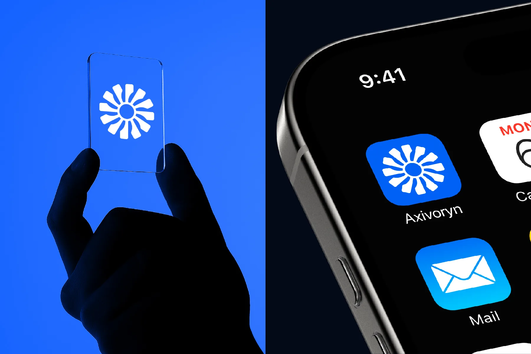 Axivoryn Brand Identity and Logo Design for a Software Company, slide 6